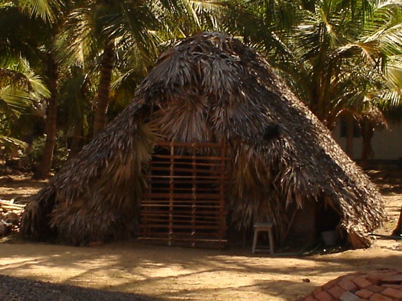 India 2006