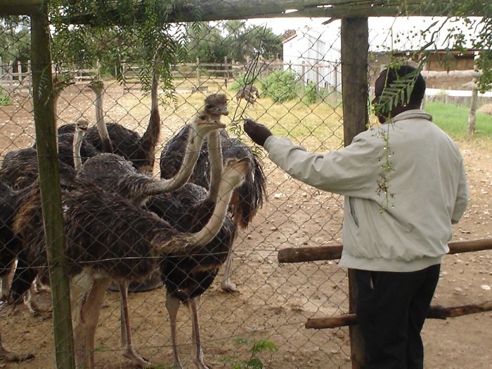 Kenya 2007