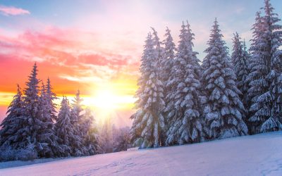 Newsletter: December 2024