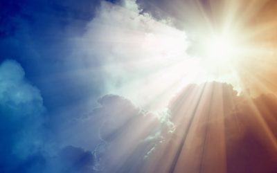 Newsletter: May 2026