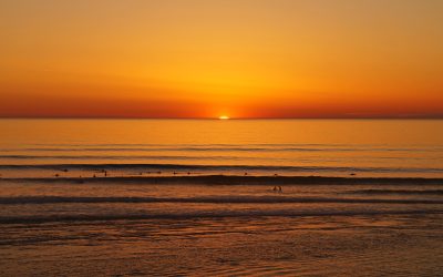 Newsletter: August 2026