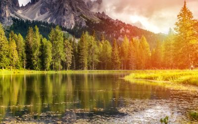 Newsletter: July 2026
