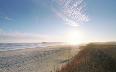 Newsletter: September 2026