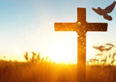 God Purposes for the Body of Christ